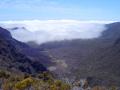 dsc01599.jpg
